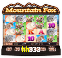 Daily Bonuses hh333